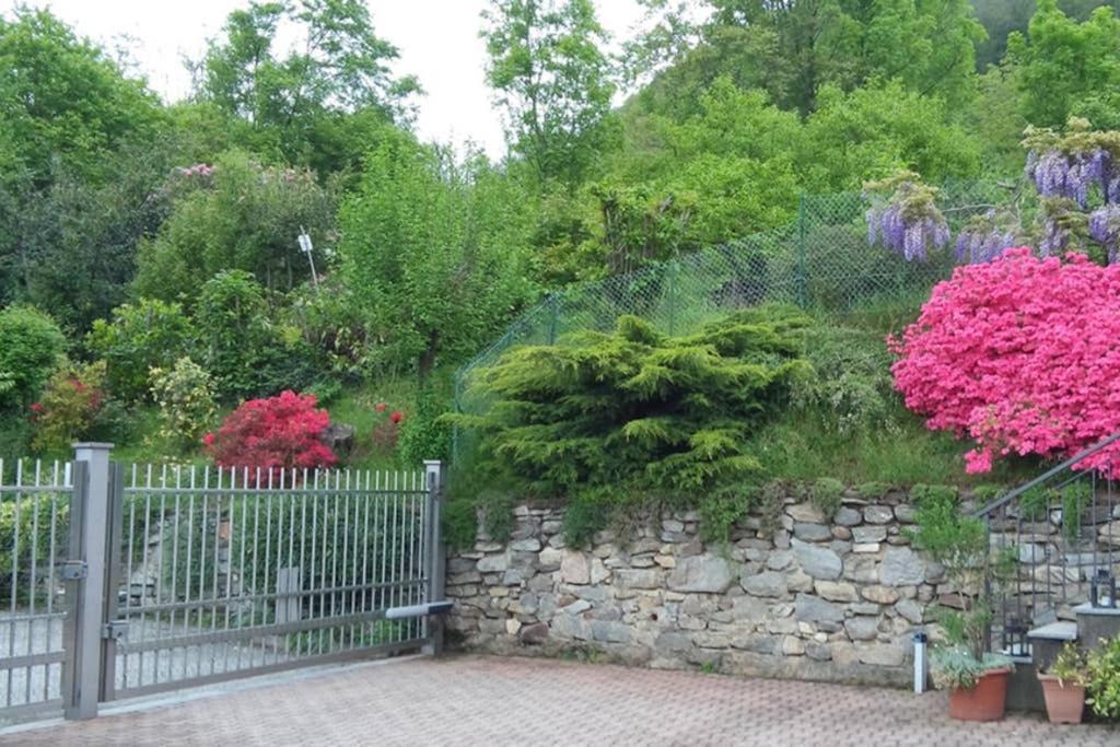 Lake Orta Openspace Garden Beach Pettenasco Zewnętrze zdjęcie